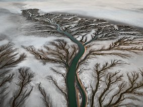 Edward Burtynsky, Colorado River Delta #2, Near San Felipe, Baja, Mexico, 2011