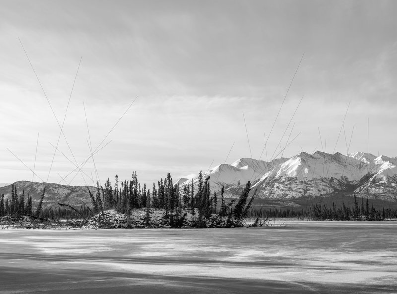 Partenheimer Benedikt_Drunken Trees on Thermokarst Lake, Alaska,Memories of the Future, 2017