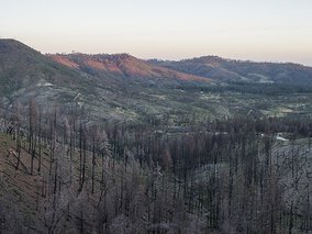 Lena Dobrowolska & Teo Ormond-Skeaping, Concow Lake, Butte County, California, 2020