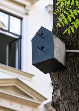 Close/d, Claudia Märzendorfer, Für die Vögel