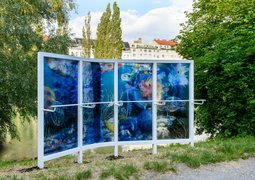 Close/d, Hugo Canoilas, Belvedere