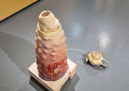© KunstHausWien, Iris Ranzinger