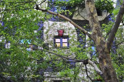 KUNST HAUS WIEN, Detail - Fenster