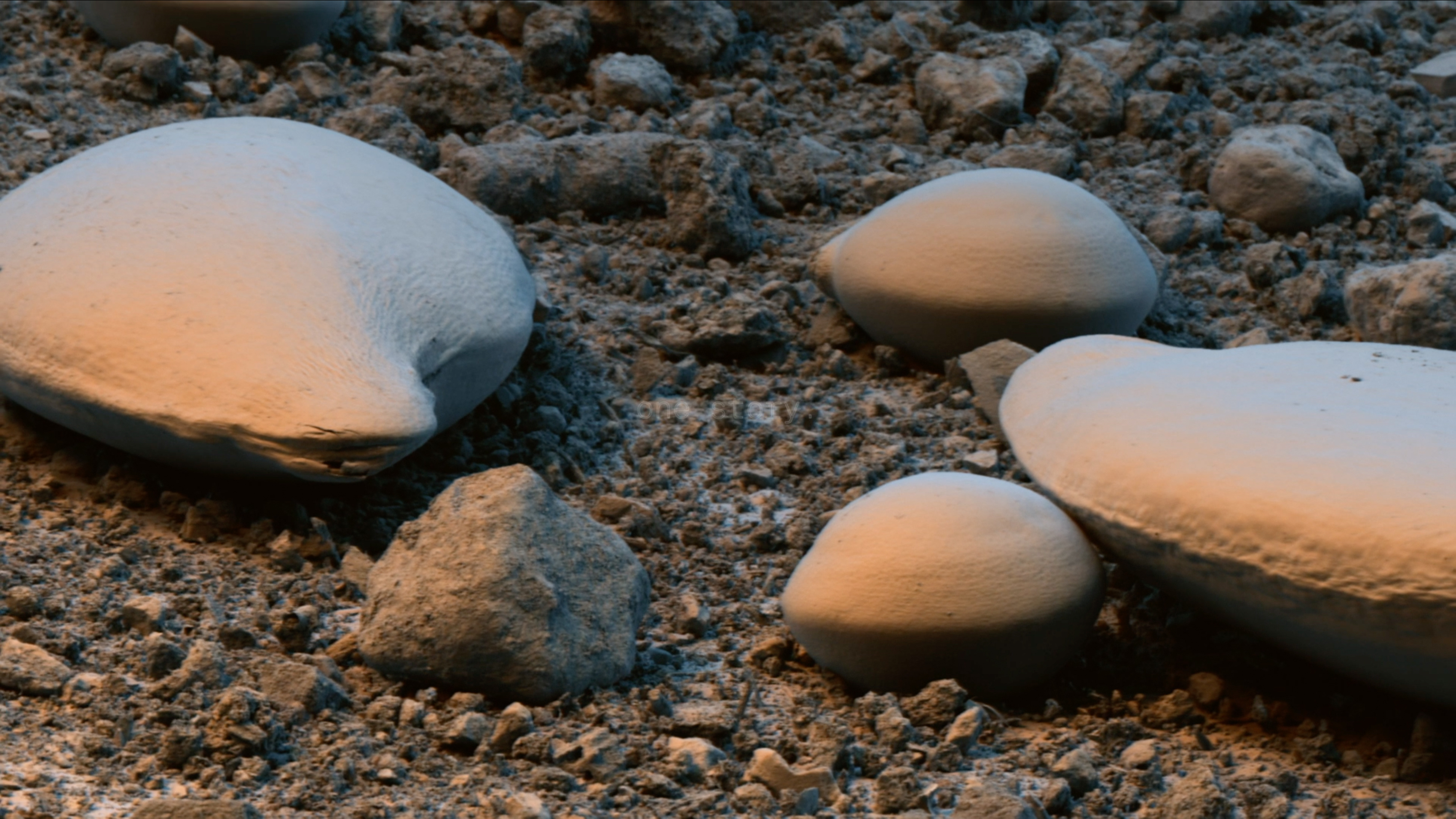 Samen in Großaufnahme auf Erde