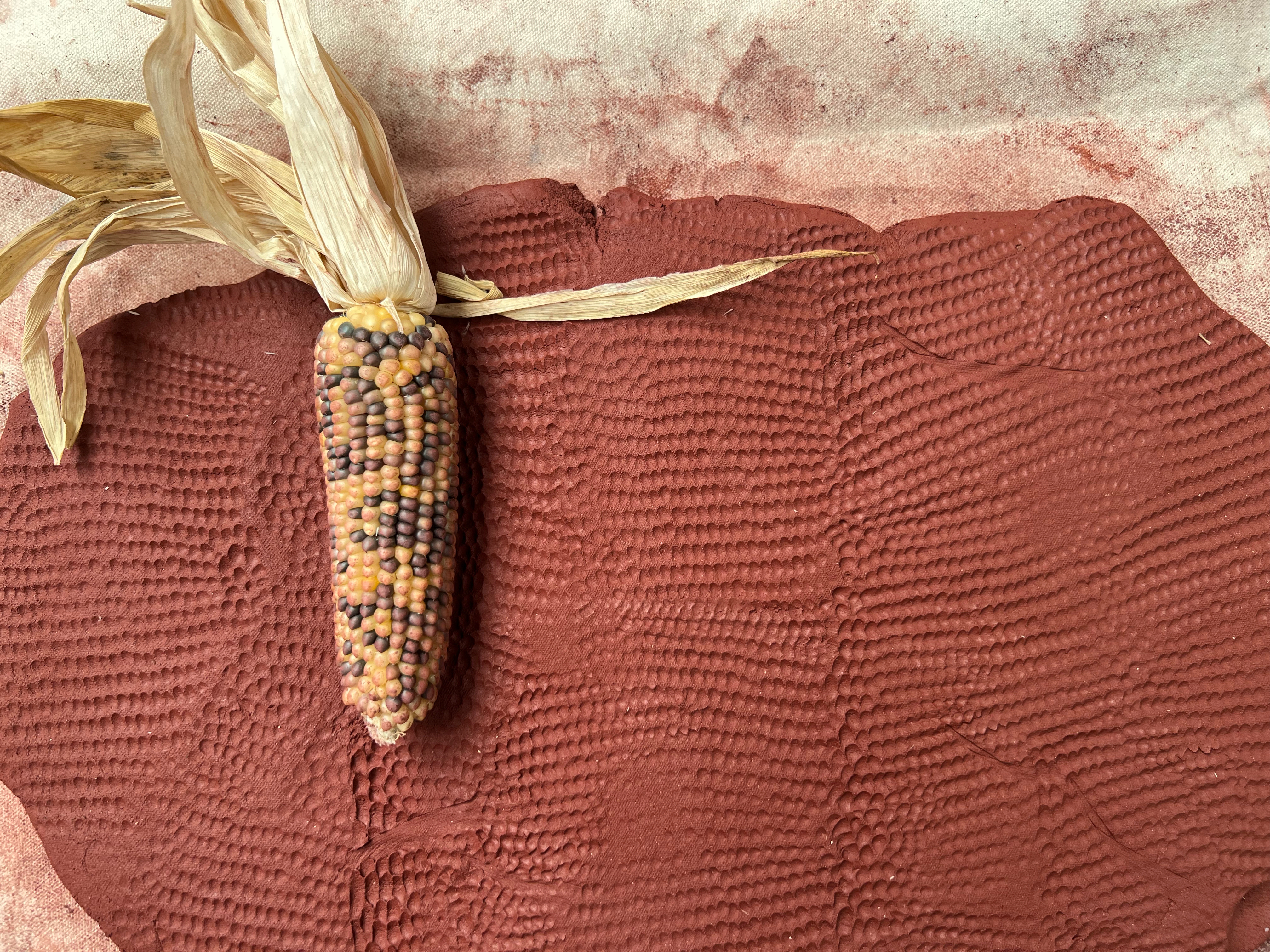 getrockneter Maiskolben auf Ton