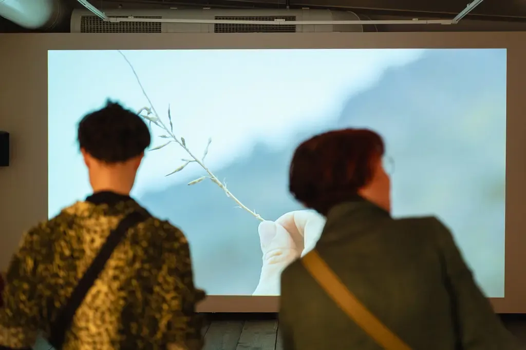 Two people shown from the back looking at a screen