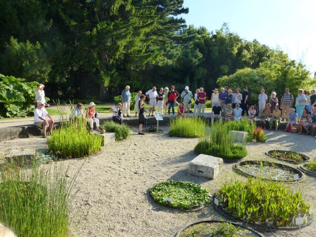 Menschengruppe in einem Garten mit Schotter und Grasinseln