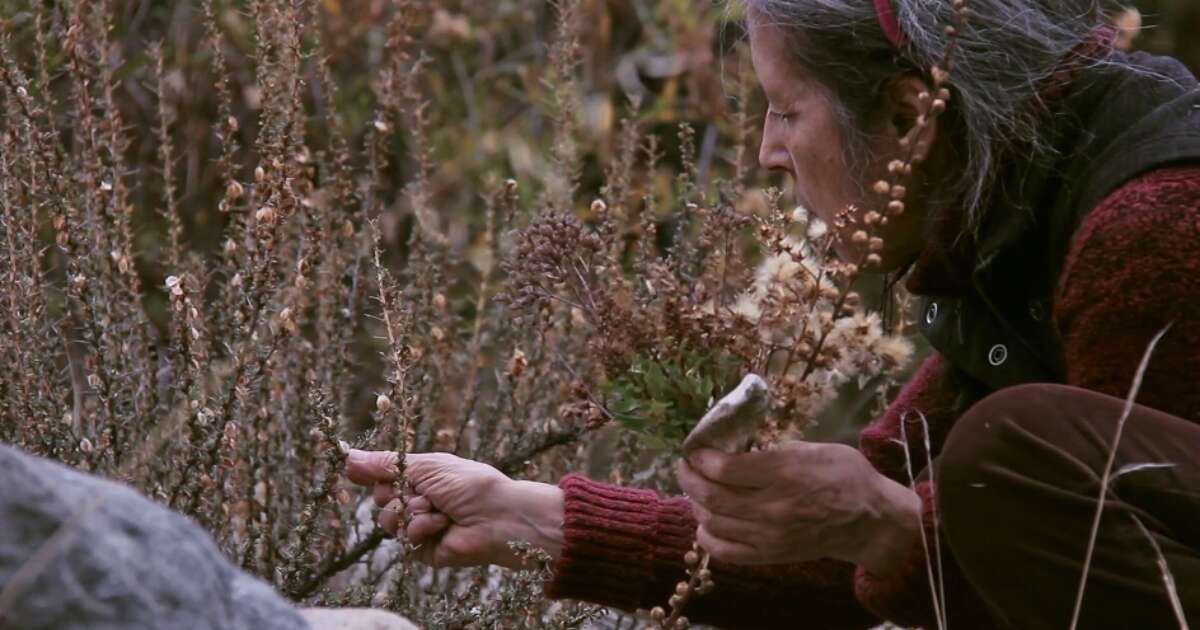Seeds: Reclaiming Roots, Sowing Futures