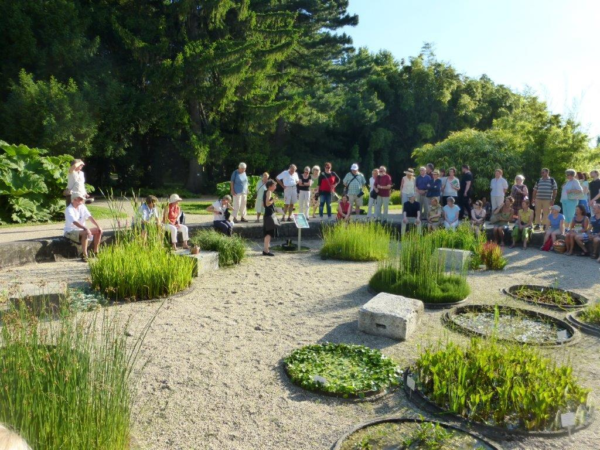 Menschengruppe in einem Garten mit Schotter und Grasinseln