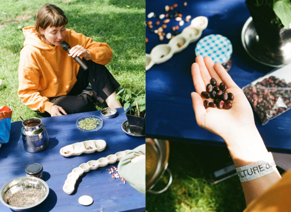Person sitz in der Wiese auf einer blauen Decke und hat eine Auswahl an Samen vor sich