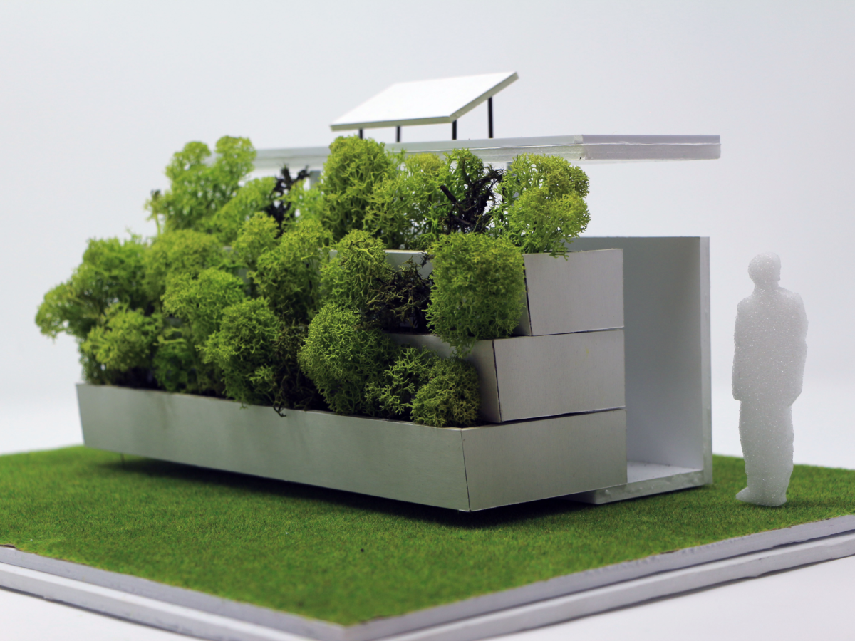 Model of Public Toilet with incorporated plant-based sewage treatment