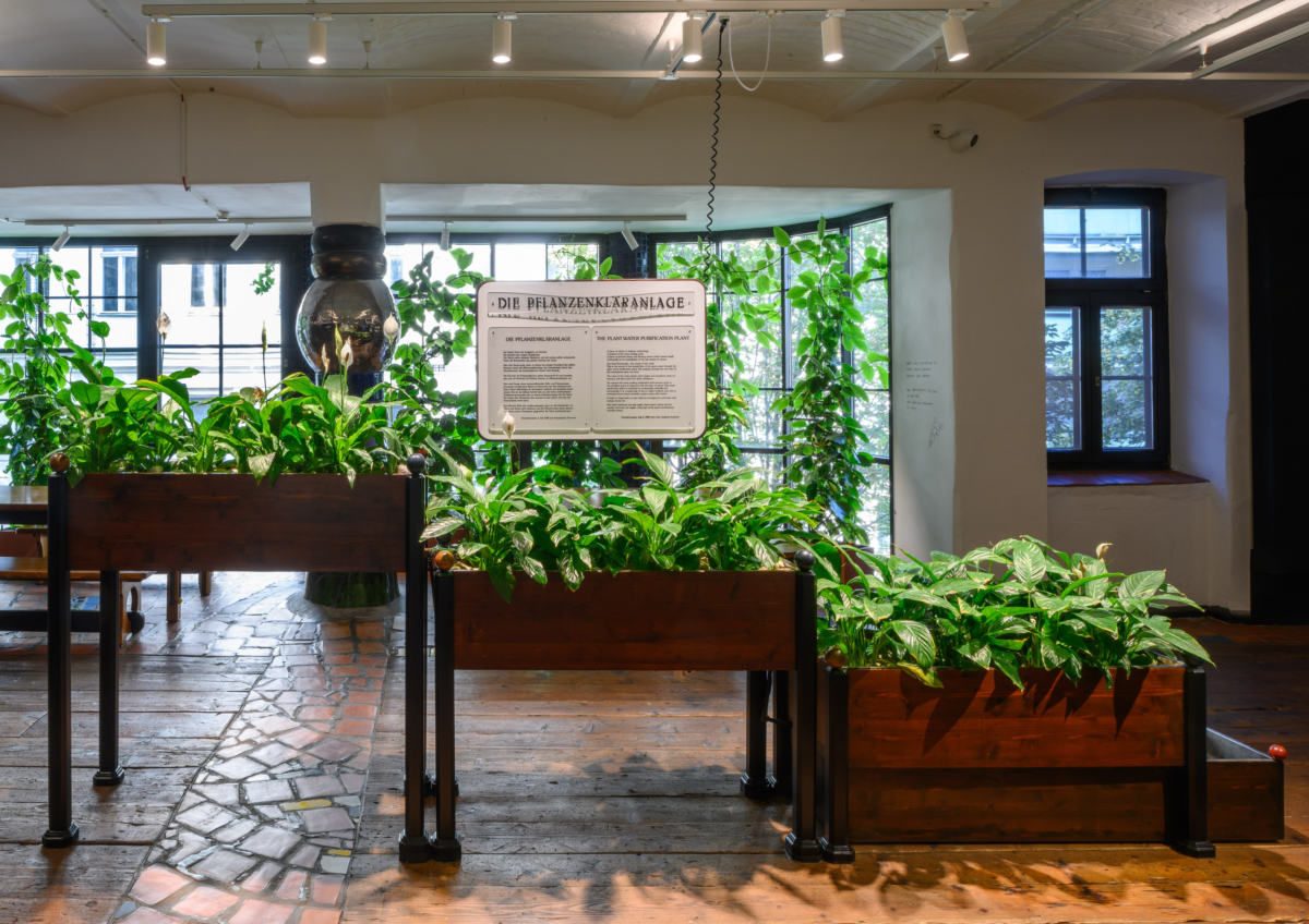 Pflanzen in der Ausstellung