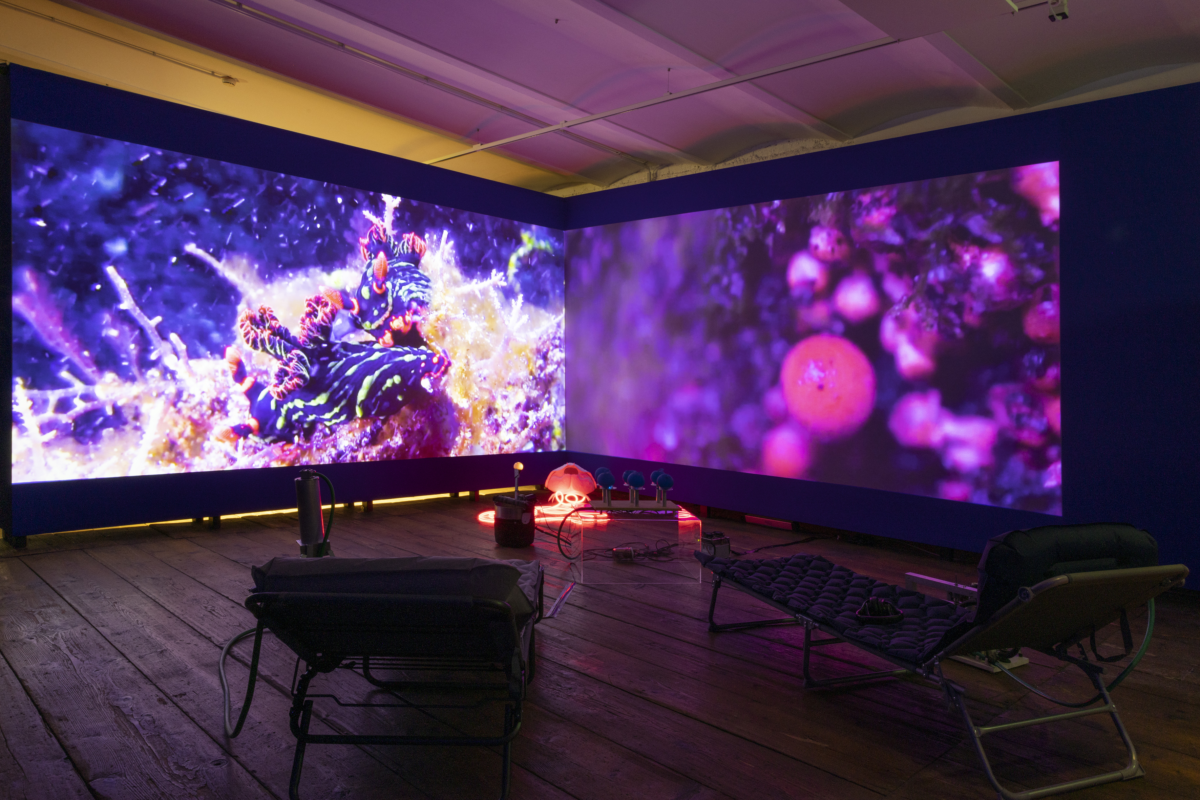 Ein abgedunkelter Raum mit zwei Bildschirmen, die eine Ecke bilden und zwei verschiedene Unterwasservideos zeigen; davor sind zwei liegen um die Videos gemütlich zu schauen