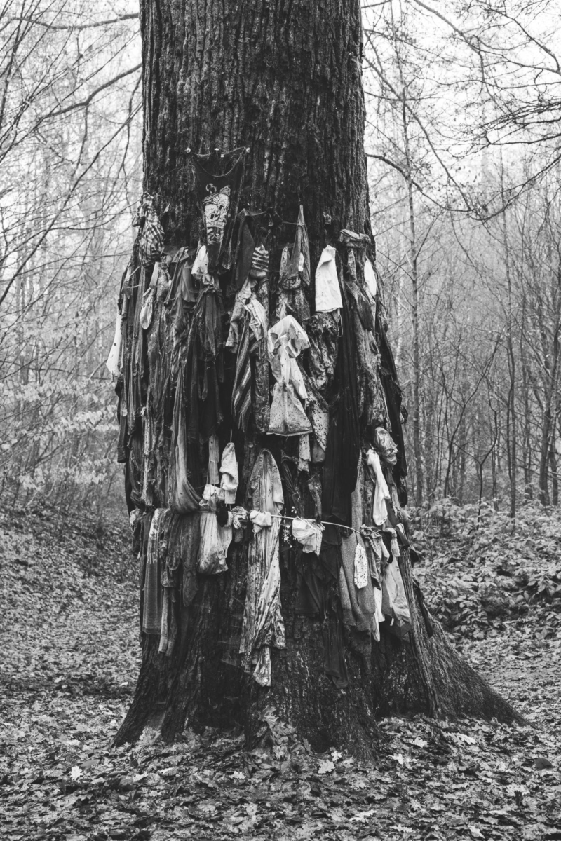 Black-and-white photo of a tree trunk with fabric tied to it