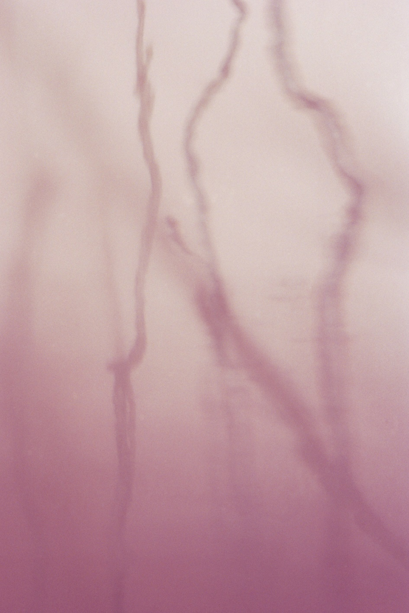 Abstract Photo