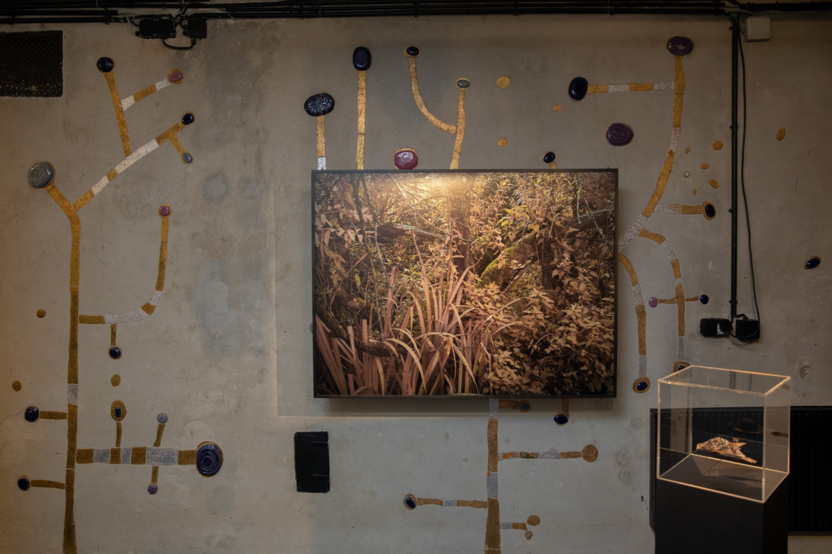 Abbildung eines Bildschirms mit Naturmotiv an einer Wand im Hundertwasser-Design