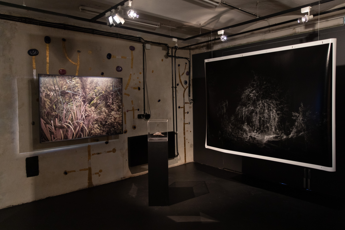 Ansicht zweier Bilder in der Ausstellung