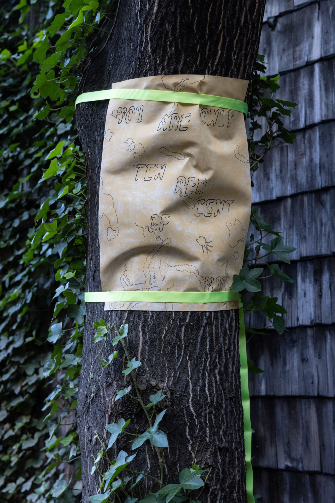 An einen Baum geklebtes Papier