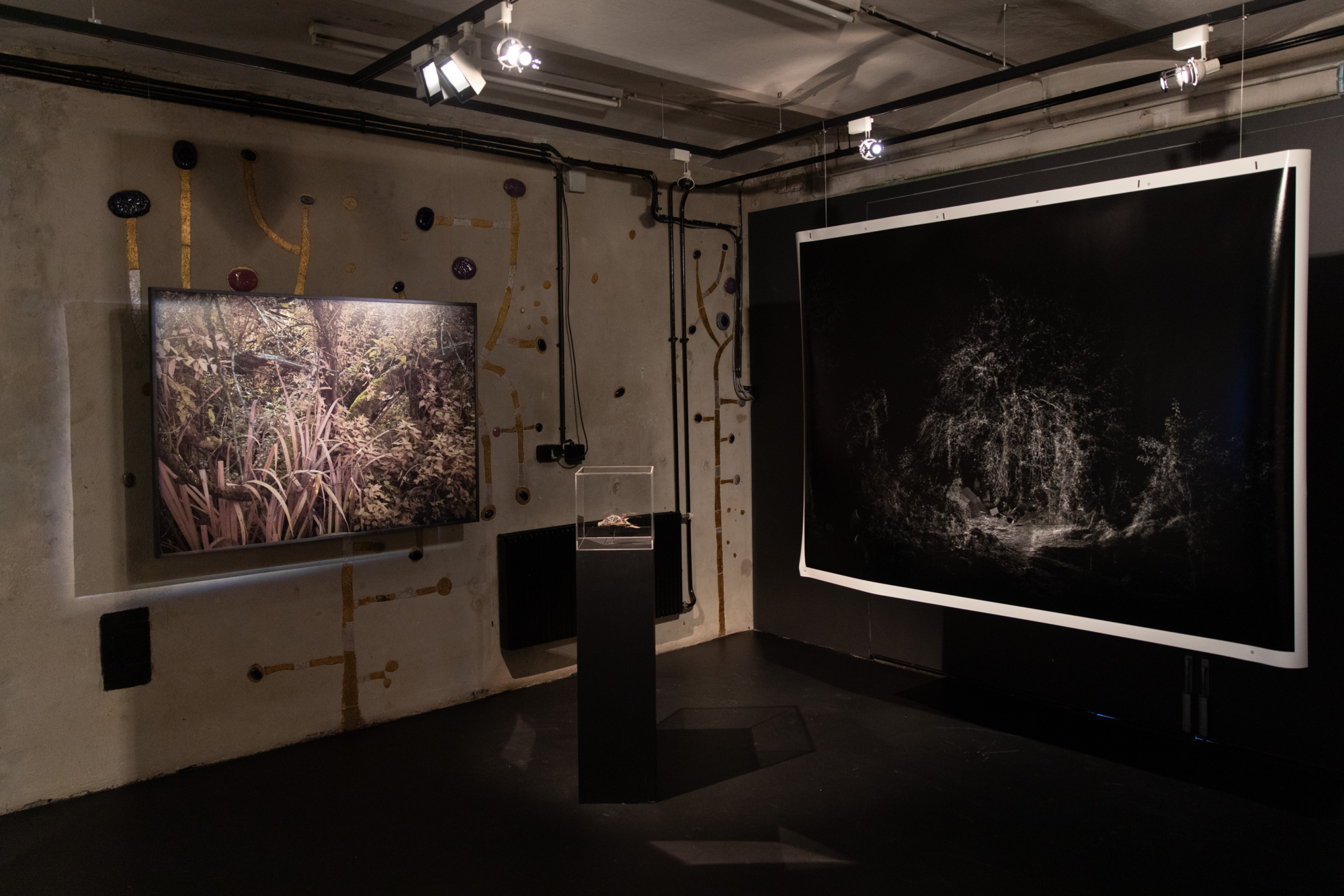 Ansicht zweier Bilder in der Ausstellung