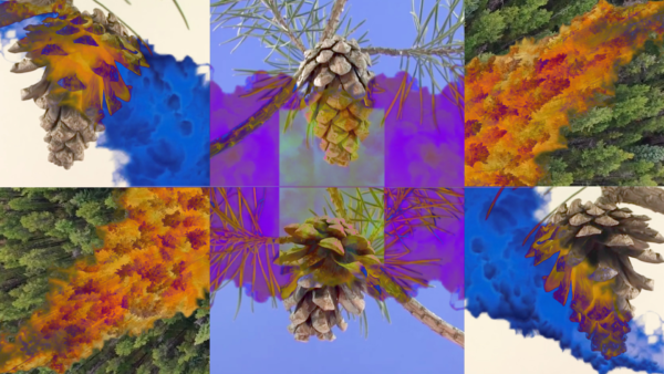 Bockerl mit Heatmap überlagert