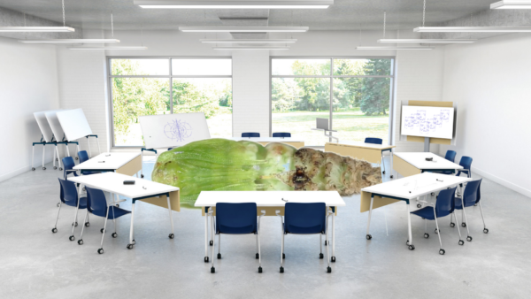 Konferenzraum mit Tischen und blauen Sesseln kreisförmig angeordnet, in der Mitte eine Wasserstelle